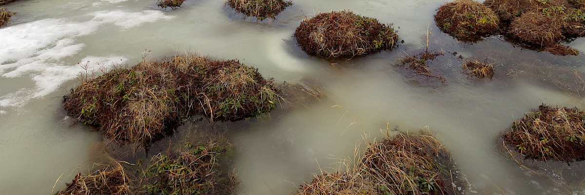 Partially frozen tundra in Chukotka, Russian Federation