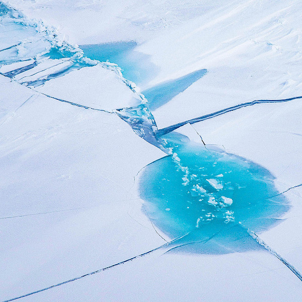 Pooling on sea ice (indicating warming)