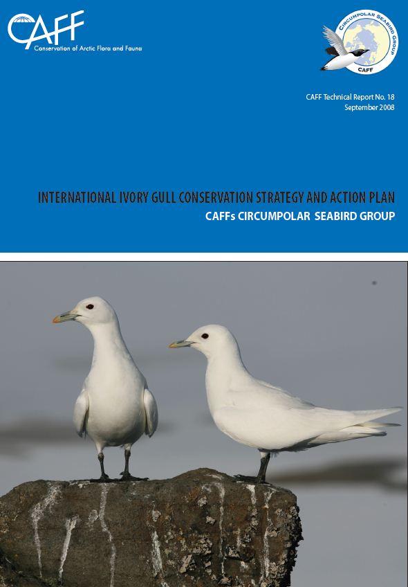 Ivory Gull Strategy, click to download