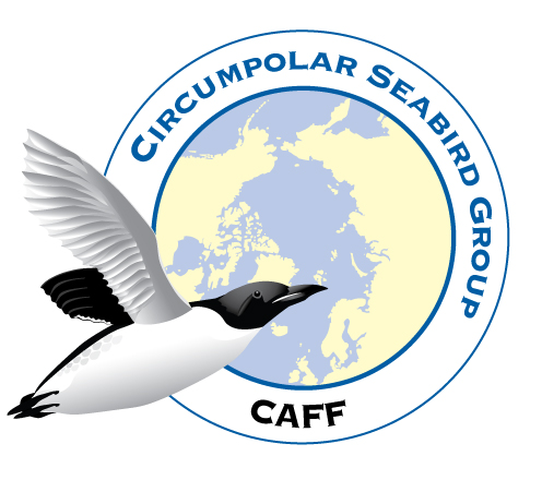Circumpolar Seabird small