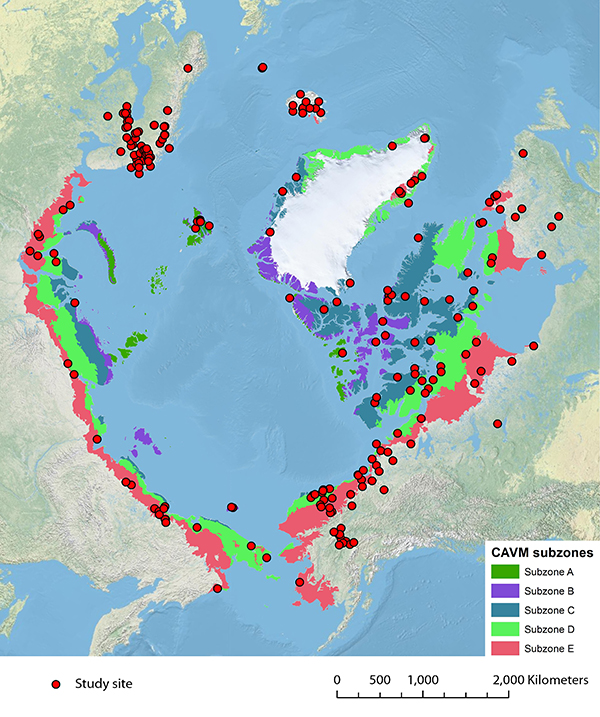 Circumpolar Arctic bioclimate subzones and location of long-term monitoring sites, programs and infrastructure that can contribute to monitoring capacity as part of the CBMP-Terrestrial Plan. This map includes all biotic groups.