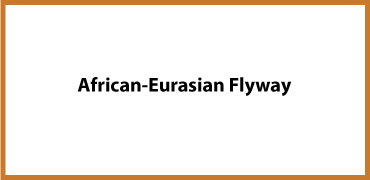 African-Eurasian Flyway