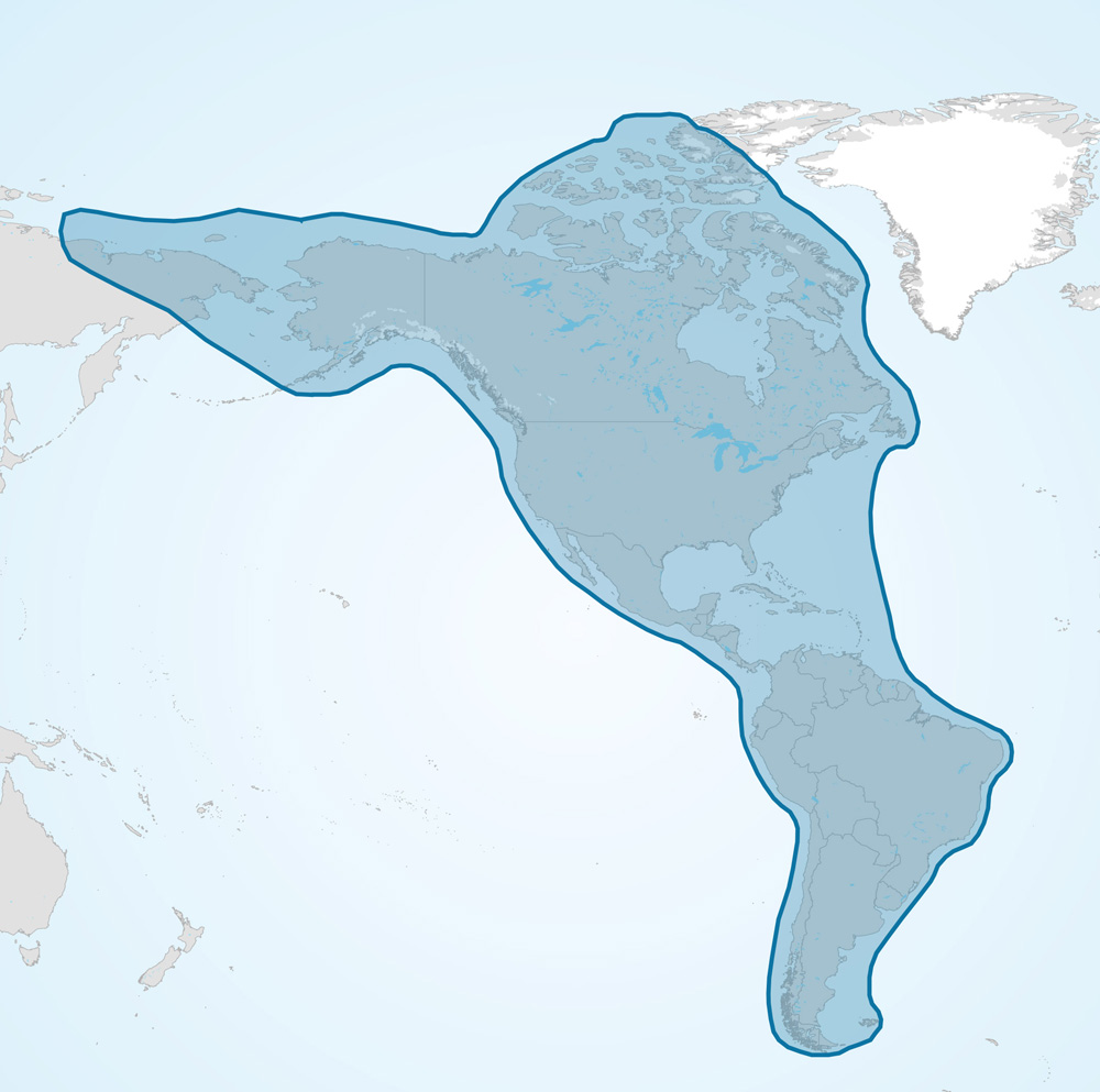 AMBI Americas Flyway Map