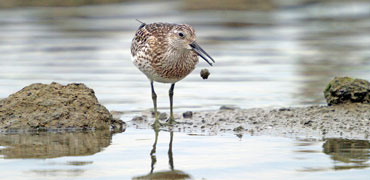 Great knot: ken/Flickr Creative Commons 2.0