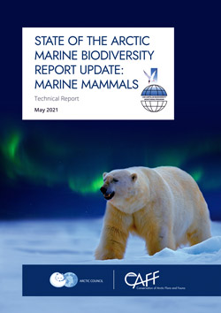 CAFF Marine Mammal 2021 TechnicalReport 1