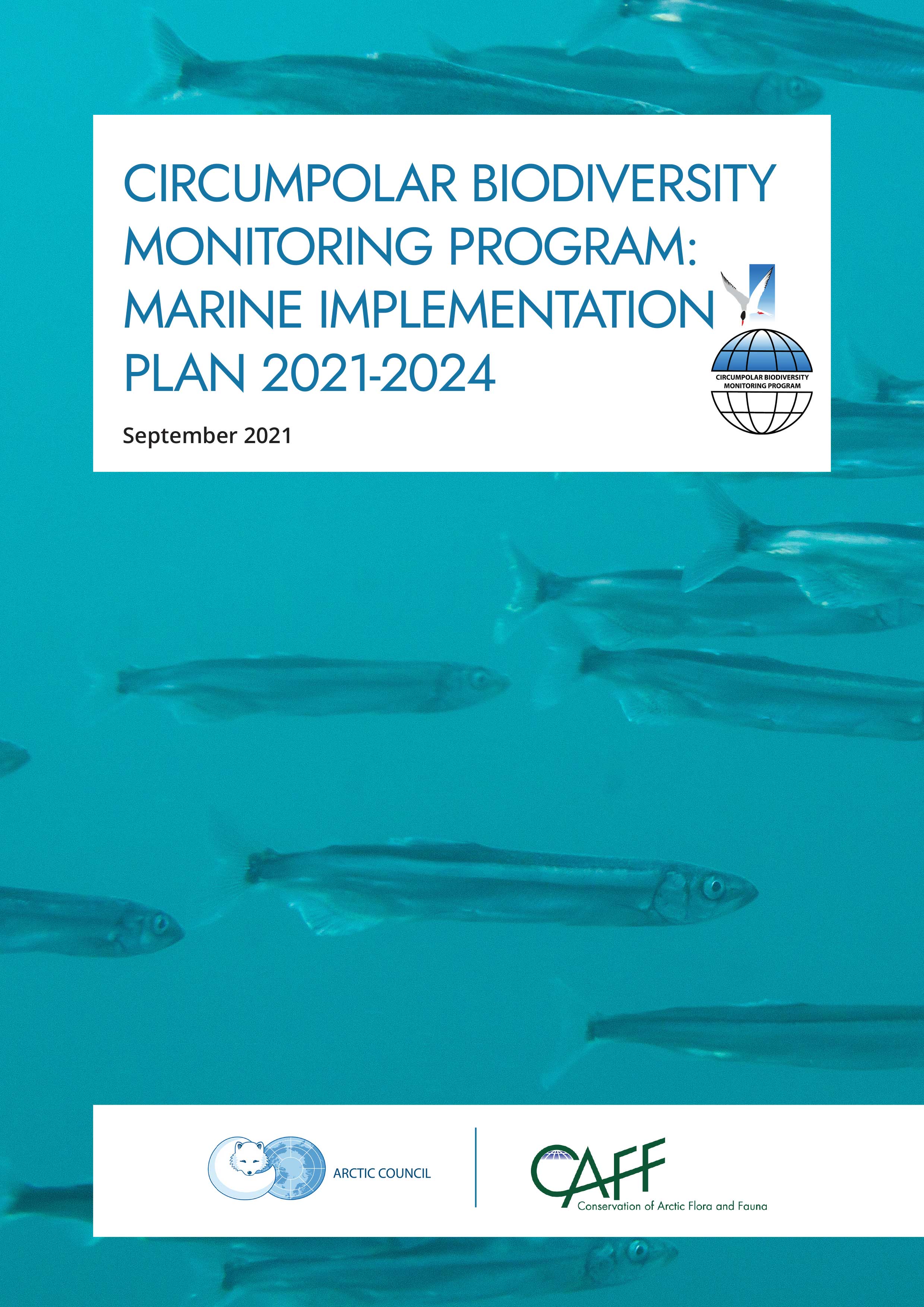 211029 CAFF CBMP Marine Work Plan 2021 v3 1